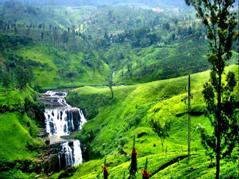 Cottage 42 Nuwara Eliya Bagian luar foto